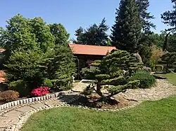 Pohled ze zahrady na otevřenou hlavní bránu, v popředí bonsaj