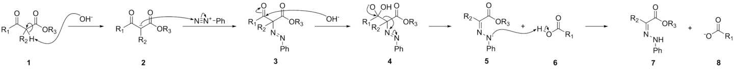 Mechanismus Jappovy–Klingemannovy reakce