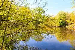 Pohled na Jarkovského jezero