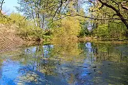 Pohled na Jarkovského jezero
