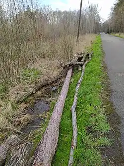 Soutok Zábřežky a Odry (v pozadí je jez Zábřeh)