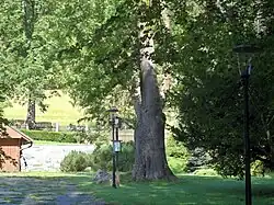 Pohled ze silnice (nepřístupný areál)