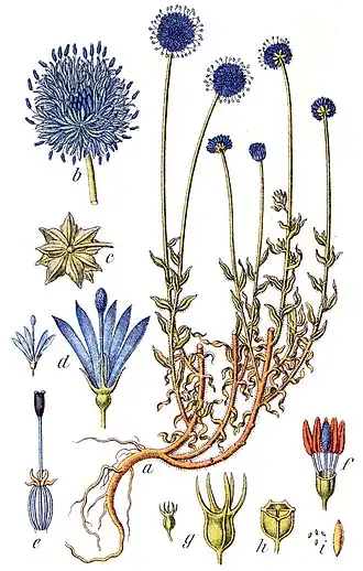 alternativní popis obrázku chybí