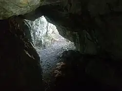 Jeskyně Przeginska v přírodní rezervaci Kajasówka