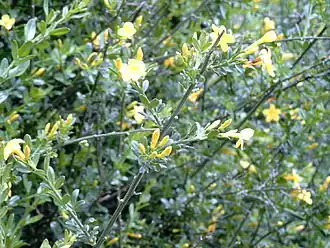 alternativní popis obrázku chybí