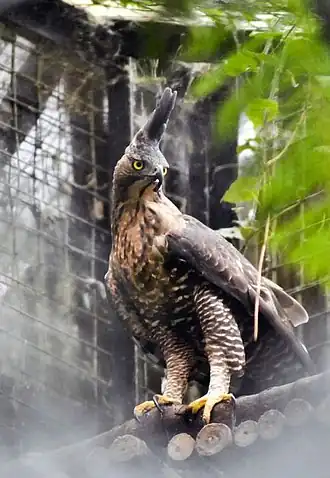 alternativní popis obrázku chybí