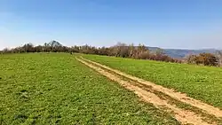 Vrchol Javorského vrchu