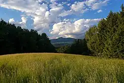 Pohled k Ještědu ze Zábrdského kopce