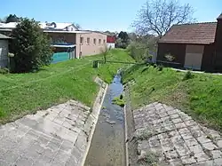 Hruškovice v Ježově