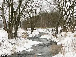 Jedlice v Mysłakowicích