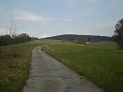 Jedlina ze západního svahu