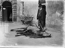 František Blažek s uloveným jelenem na nádvoří rožmitálského zámku