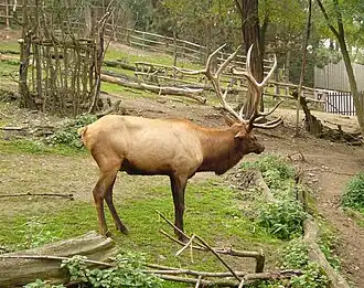 alternativní popis obrázku chybí