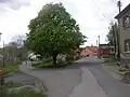 Kaštan na návsi, vlevo za ním sídlo OÚ
