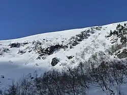 Na fotografii je vidět strmý zasněžený svah a lavinová dráha, v popředí porosty břízy