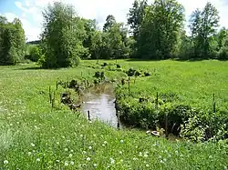Sedlecký potok u Jesenice