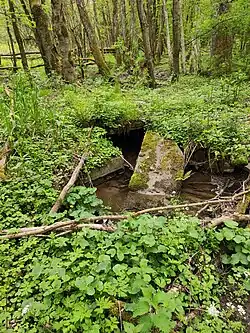 Jestřabí, potok Hluboček