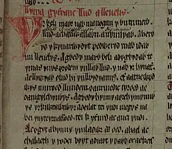 Úvodní řádky příběhu v Červené knize hergetské