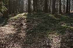 Jevany - zaniklá osada Dubina (8).jpg