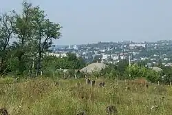 Pohled na Baltu ze starého židovského hřbitova