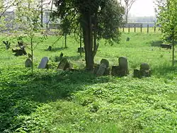 Jewish cemetery in Ivanovice na Hané 2.JPG