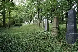 Jewish cemetery in Zalužany 03.JPG