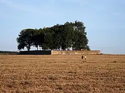 Jewish cemetery in Zderaz (02).jpg