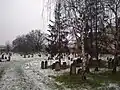 Pohled na židovský hřbitov v zimním období z ulice Tyršovy