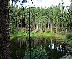 Jezírko v roce 2017