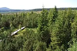 Pohled na Jezerní slať z vyhlídkové věže