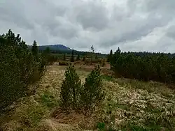 Pohled na Jezerní slať (květen 2025)