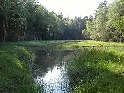 Celkový pohled na rezervaci