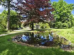 Přírodní jezírko