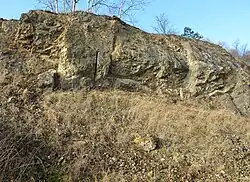 Výchozy dobříšských slepenců