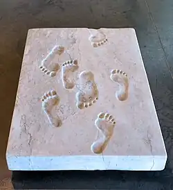 Stopy, carrarský mramor, (1984)