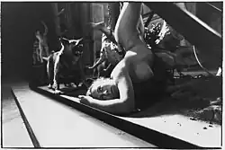 Obětování (performance 1992)