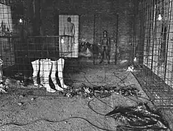 akce Přežít (1984)