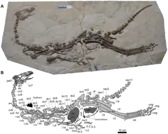 alternativní popis obrázku chybí
