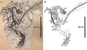 alternativní popis obrázku chybí