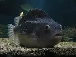 alternativní popis obrázku chybí