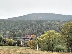 Jince Plešivec upr.jpg