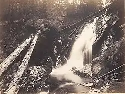 Bílá strž, 1880-1882, Scheufler collection