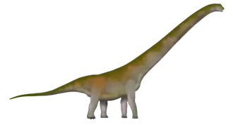 alternativní popis obrázku chybí