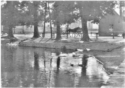 Jinonický rybník – pohled od autobusové stanice „Karlštejnská“ směrem k ulici U jinonického rybníčka (před rokem 1940)