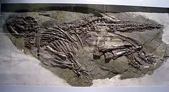 alternativní popis obrázku chybí