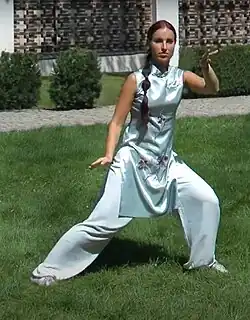 Cvičení Tchaj-ťi čchüan sestavy; (rok 2010)