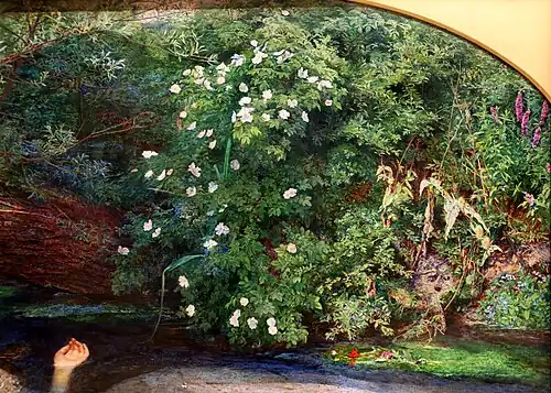 Detail břehu s šípkovým keřem