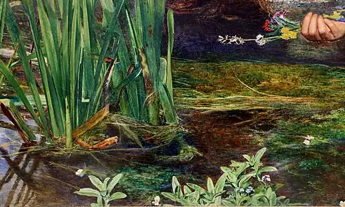 Detail vodních rostlin