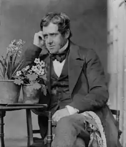 John Dillwyn Llewelyn, cca 1850