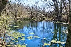 mrtvé rameno Jordáně